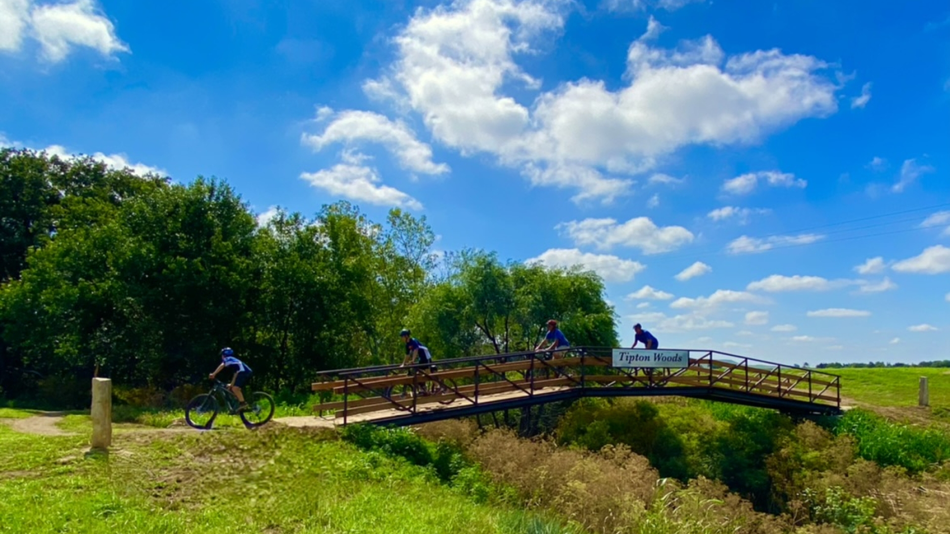 bridge